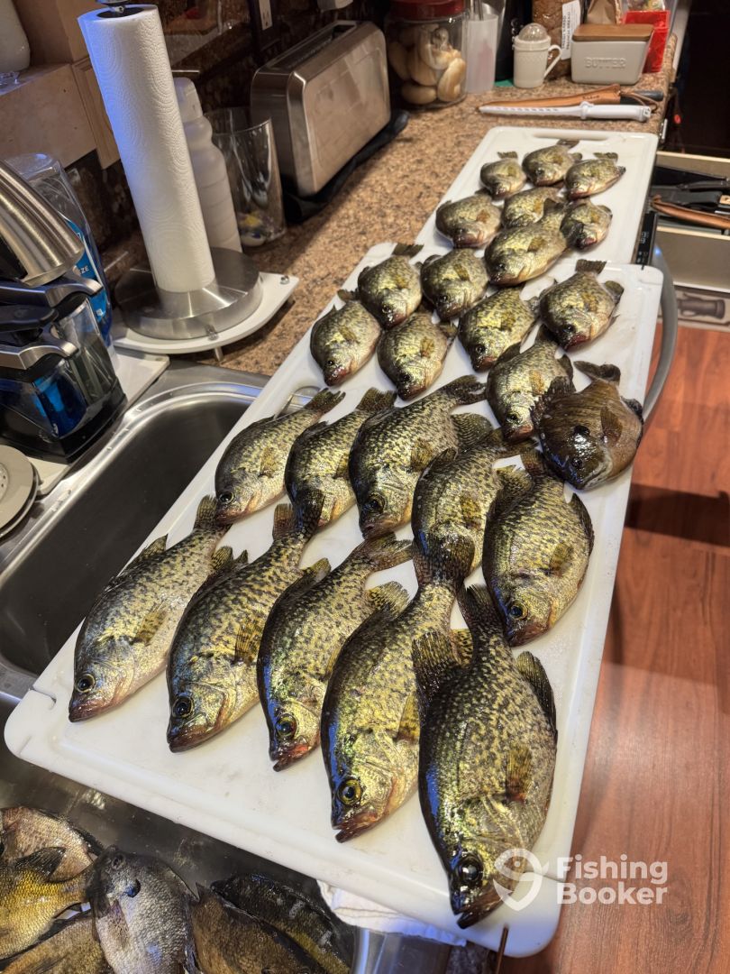 Rhinelander Report Photo 0