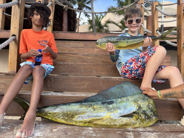 Playa Del Carmen Report Photo 1