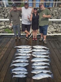 Great fishing continues 
