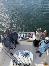Yellowtail, Bonita, Bass and more!