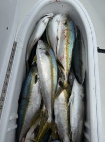 Oceanside Report Photo 2