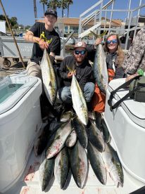 Amazing day of yellowtail fishing