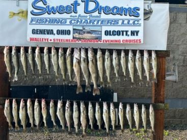 Ashtabula County Report Photo 3