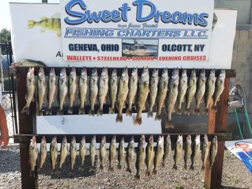 Ashtabula County Report Photo 2