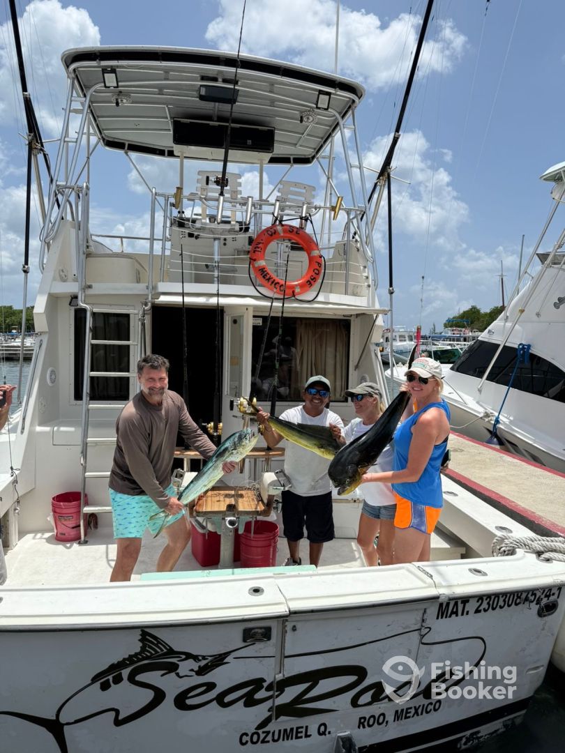 San Miguel De Cozumel Report Photo 0