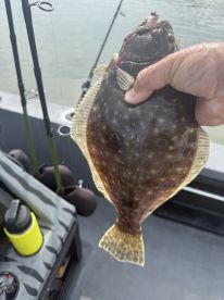 Fishing has been great