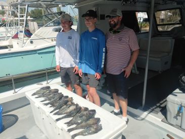 Black bass get better with water cooling