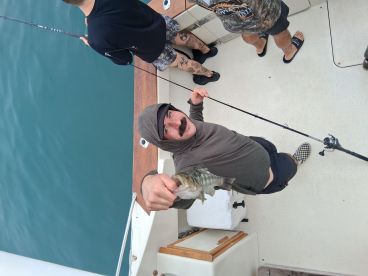 Dana Point Report Photo 2