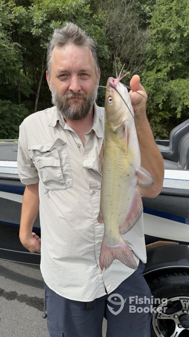 Conway Report Photo 0
