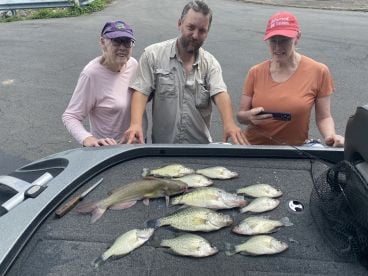 Conway Report Photo 2