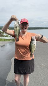 Arkansas Report Photo 2