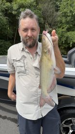 Arkansas Report Photo 1