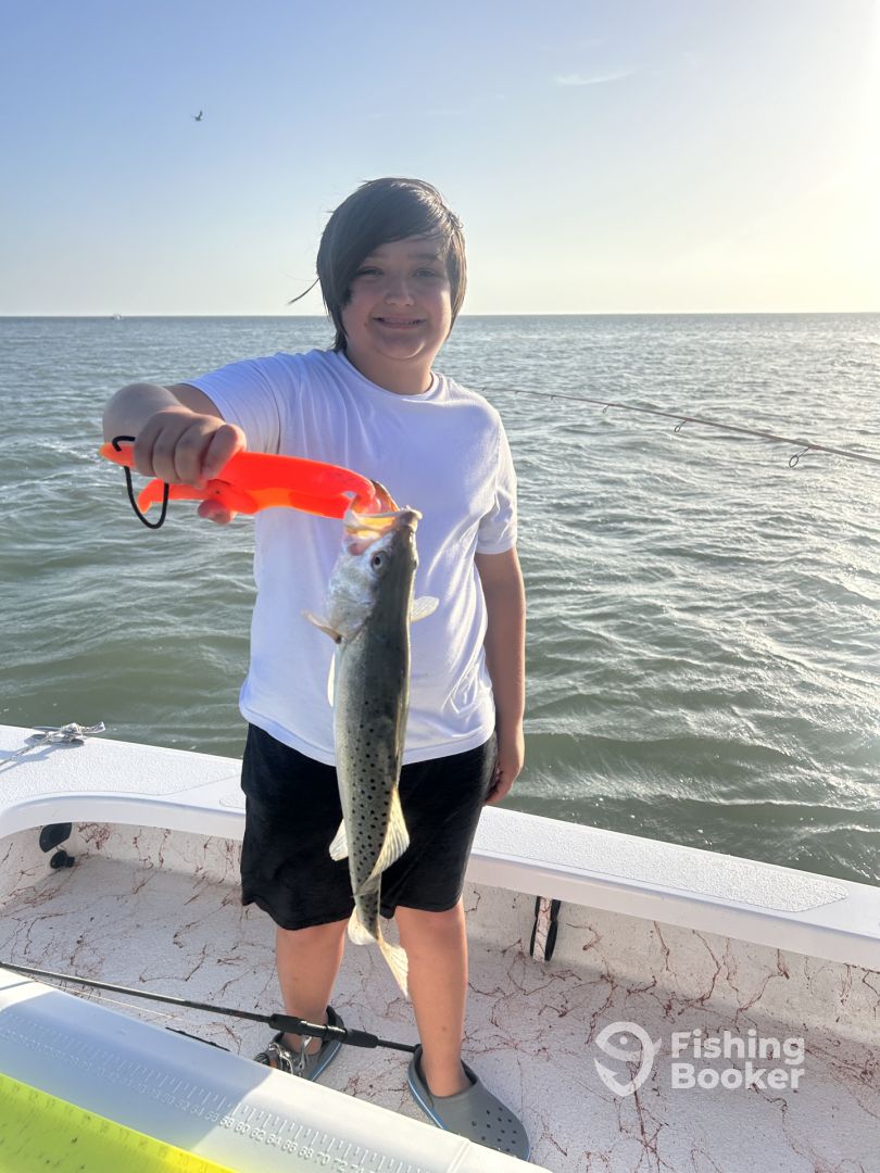 Port Isabel Report Photo 0