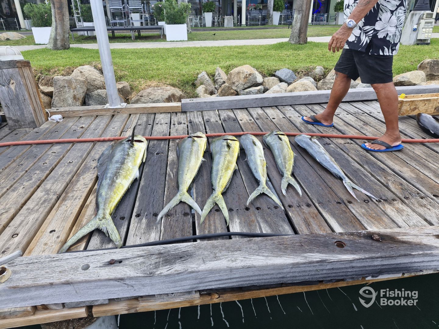 Oranjestad Report Photo 0