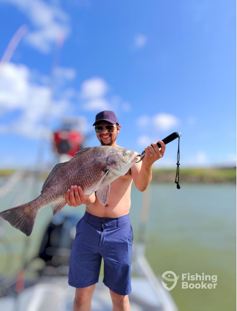 Galveston Report Photo 0