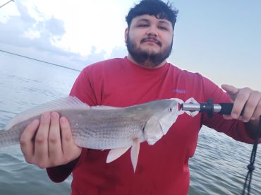 Galveston Report Photo 2