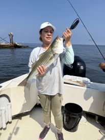 Striped Bass on Topwater