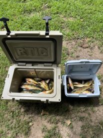 Lawton Report Photo 2