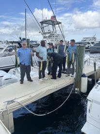 Mahi