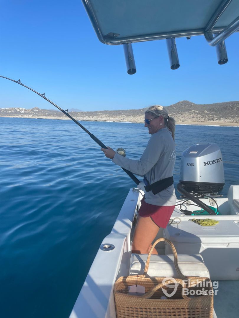 San Jose del Cabo Report Photo 0