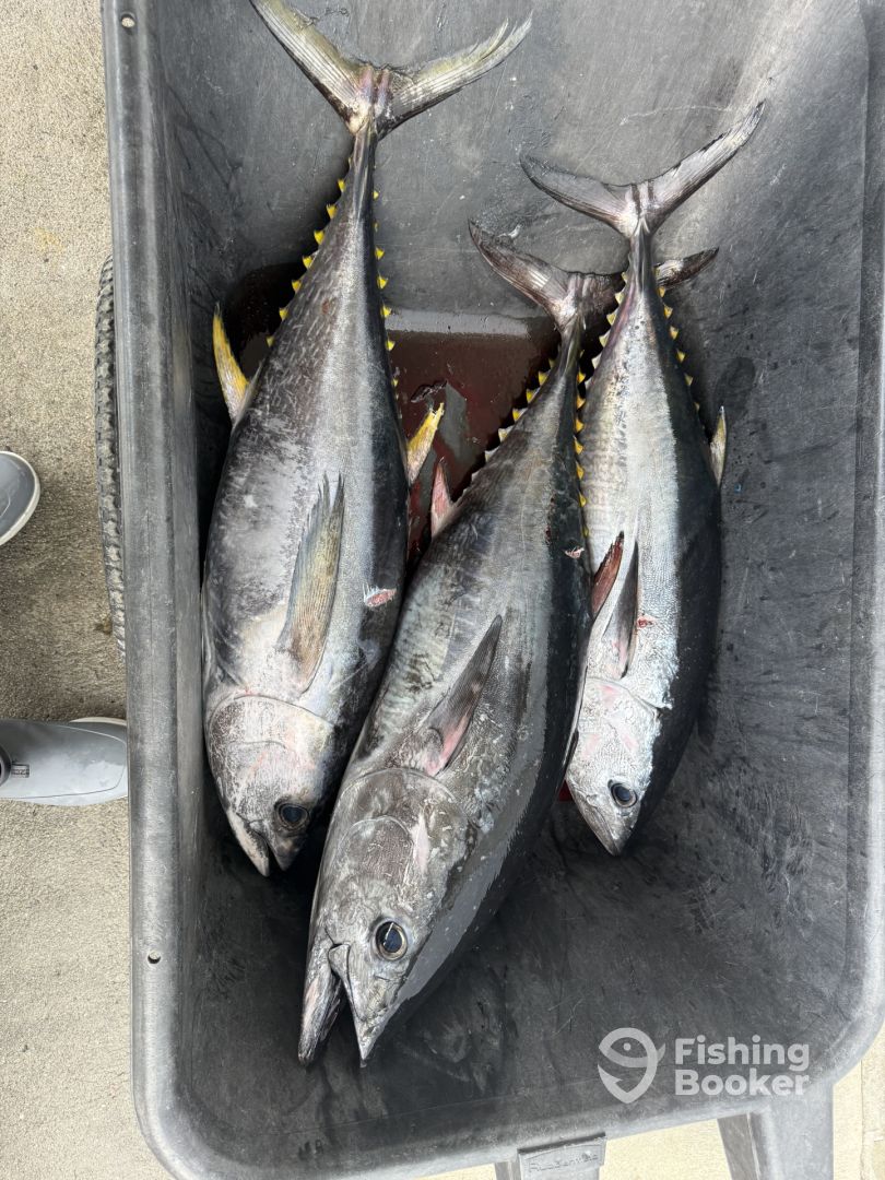 Point Pleasant Report Photo 0