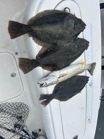 Avalon Report Photo 2