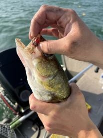Bay City Report Photo 2