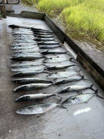 We catch him when the other boats can’t