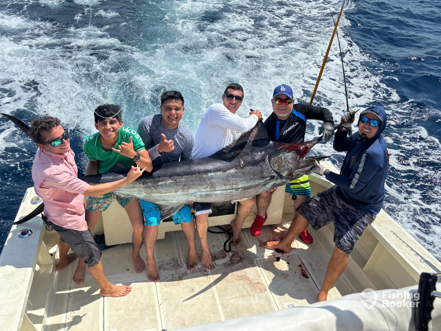 Puerto Vallarta Report Photo 0