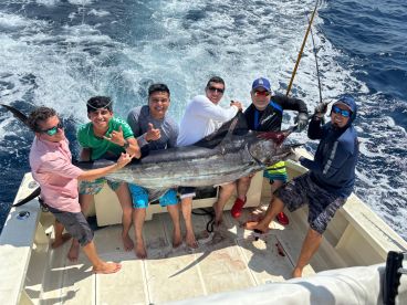 Big Marlin 