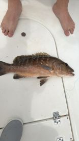 Lower Keys Report Photo 1