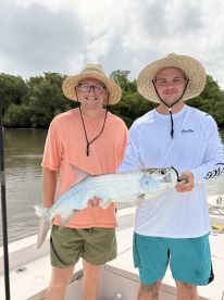 Dreaming on Tarpons !