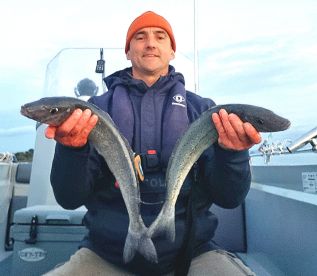 Trophy Tamar River King George Whiting o