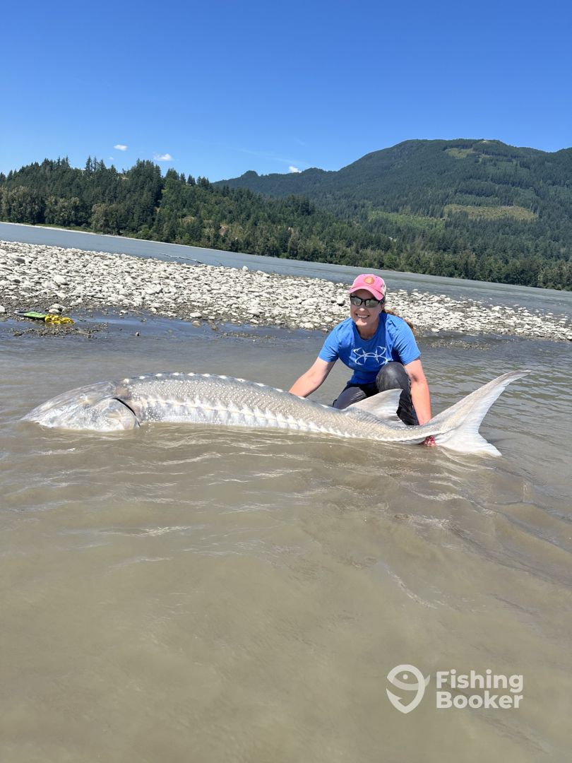 Chilliwack Report Photo 0