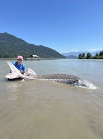 Chilliwack Report Photo 1