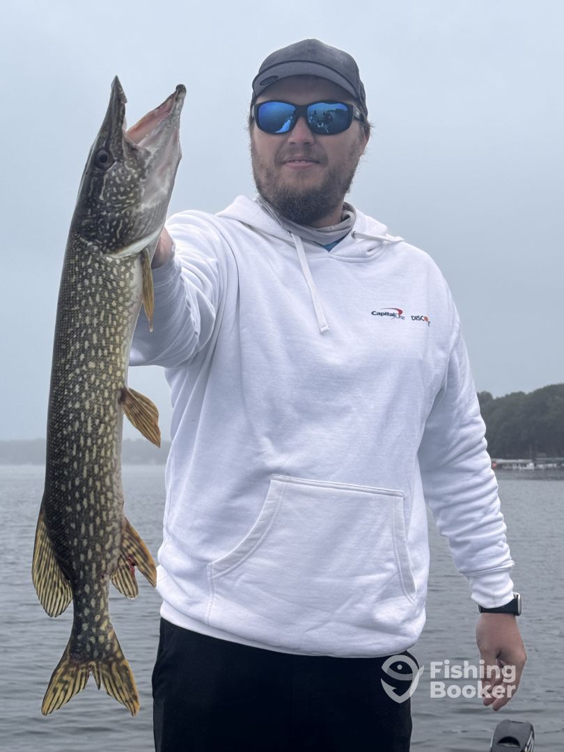 Ripon Report Photo 0