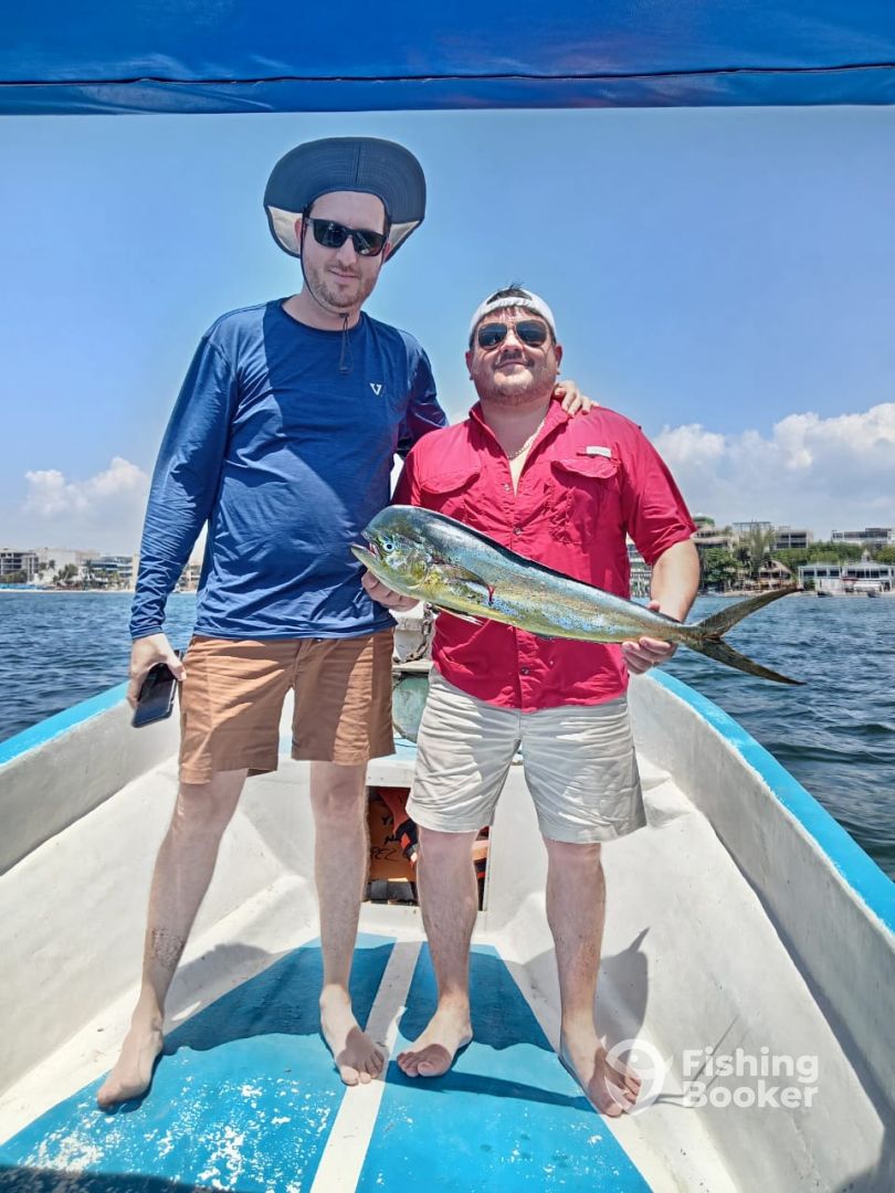 Quintana Roo Report Photo 0