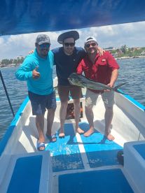 Quintana Roo Report Photo 1