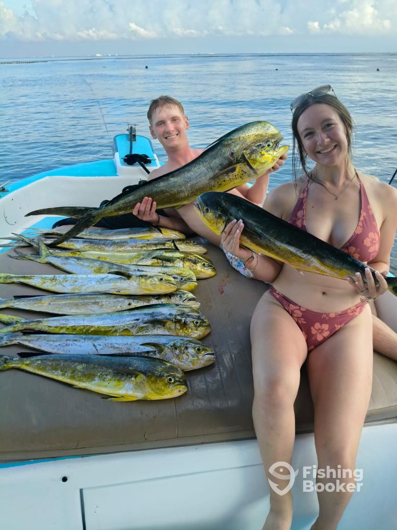 Playa Del Carmen Report Photo 0