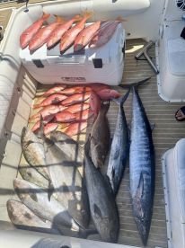 Wilmington Report Photo 2