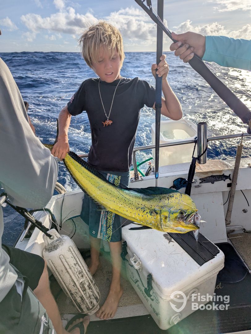 Oahu Report Photo 0