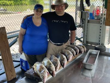 Buffalo Report Photo 2