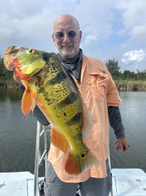 Peacock bass tours
