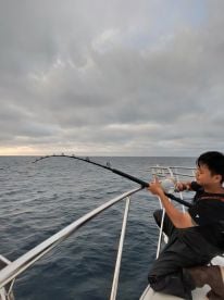 Catalina Island Report Photo 2