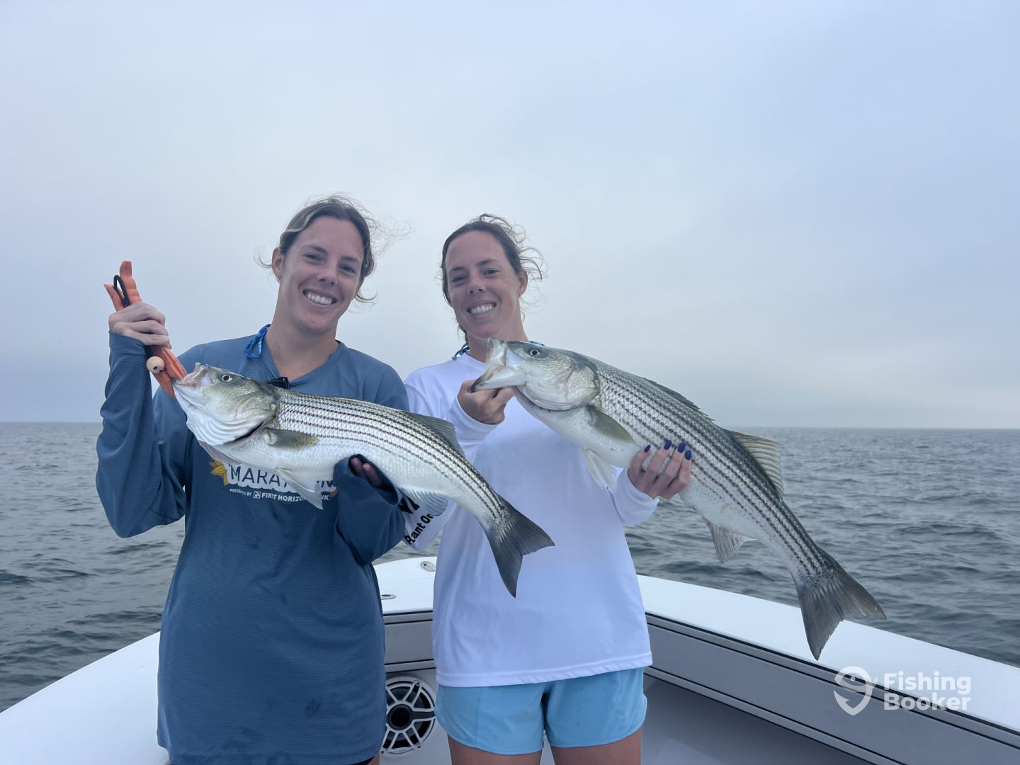 Cape Cod Report Photo 0