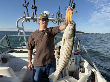 Boston Harbor Report Photo 1