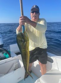 San Jose del Cabo Report Photo 2