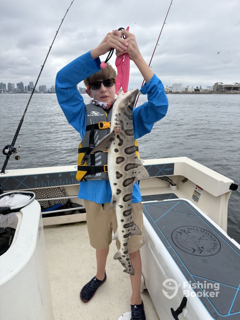 San Diego Bay Report Photo 0