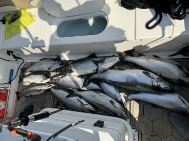 Michigan Report Photo 1