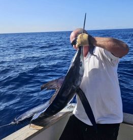 Calheta Report Photo 4